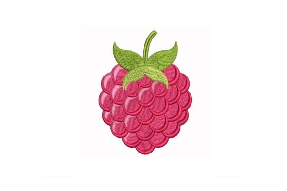 Raspberry Embroidery Design Review for Boutique Apparel